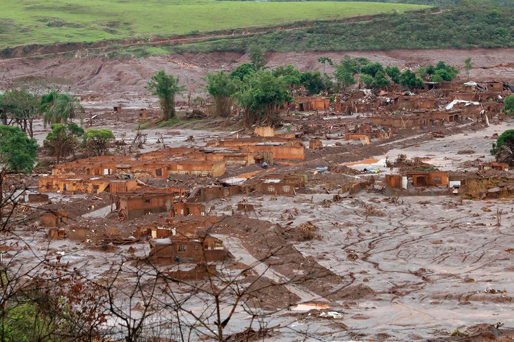 Vegetação de Mariana se adaptou para sobreviver aos rejeitos de mineração