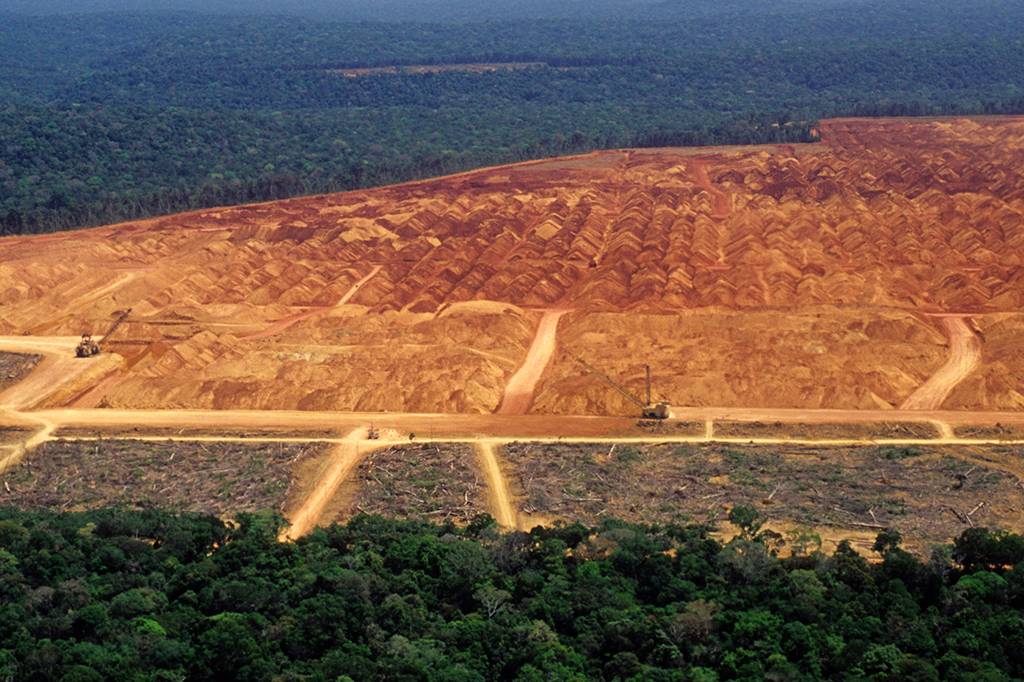 Para ser Net Zero até 2050, Brasil precisa de mais rigor no controle do desmatamento e degradação de biomas