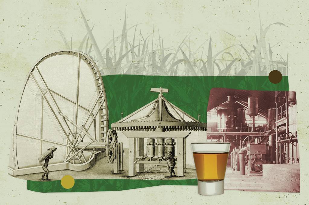 A história da cachaça, a bebida que motivou a primeira revolta brasileira