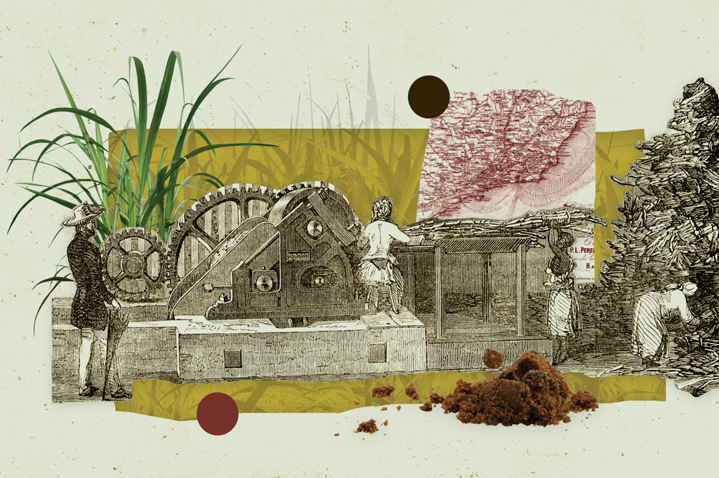 Imagem, em fundo verde claro, de colagem feita com imagens de um engenho de cana-de-a&ccedil;&uacute;car e um mapa.