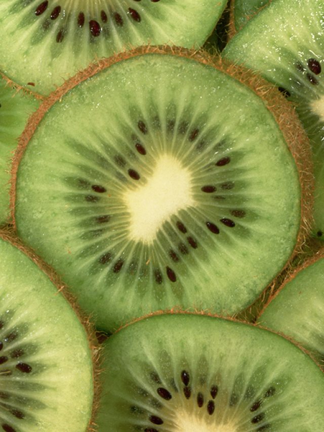 cropped-0302-KIWI-layout_site.jpg
