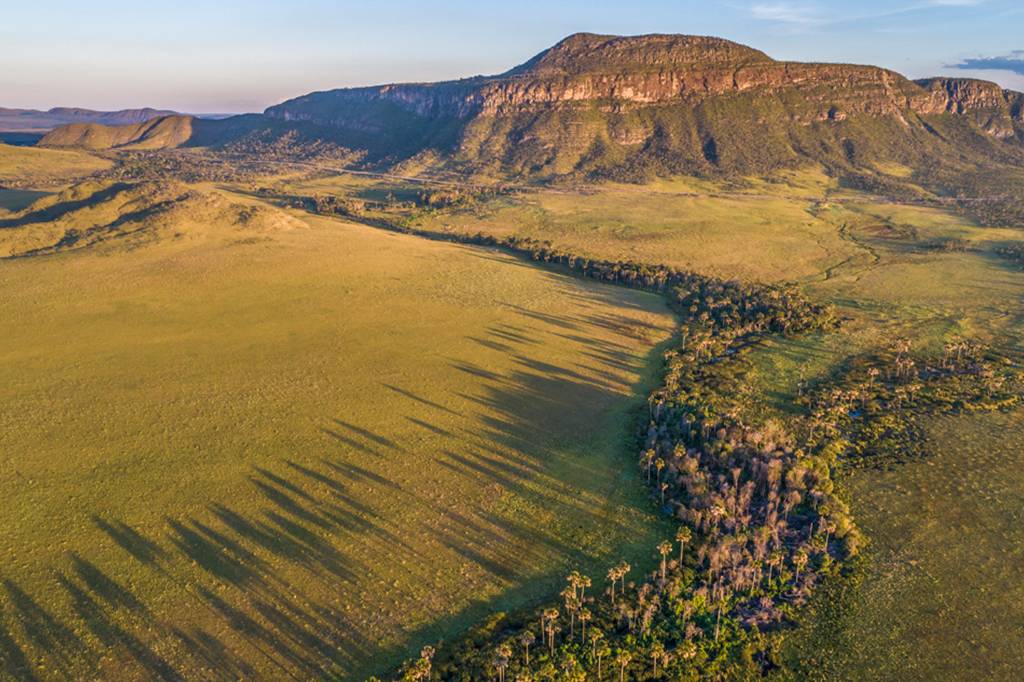 Áreas úmidas do Cerrado escondem enorme reserva de carbono milenar, revela estudo