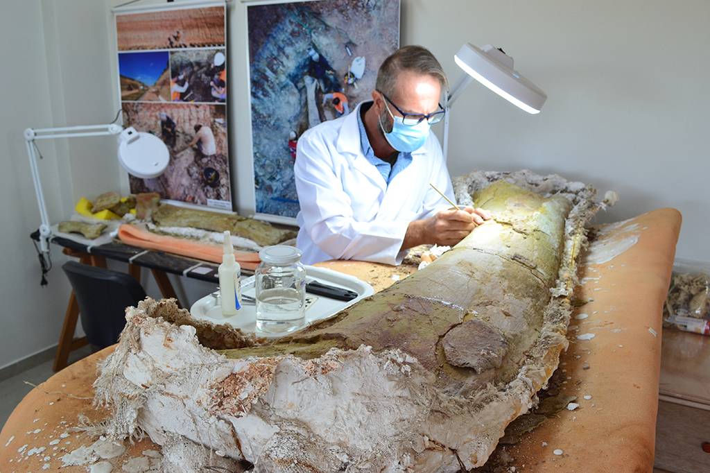 Obra em terminal rodoferroviário revela nova espécie de dinossauro pescoçudo no Maranhão