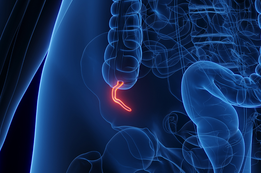 2403-apêndice-layout_site