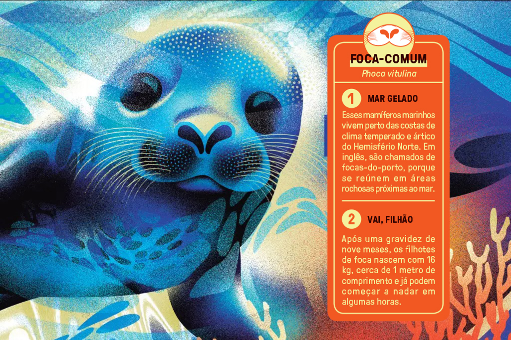 Ilustra&ccedil;&atilde;o multicolorida de uma foca.