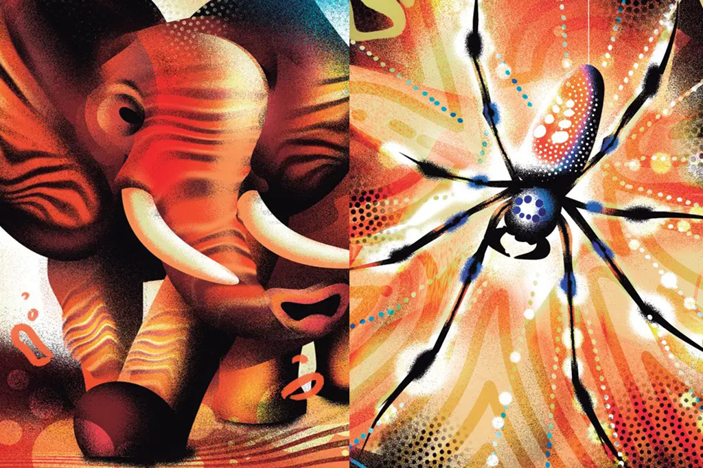 Ilustração de um eferente e uma aranha.