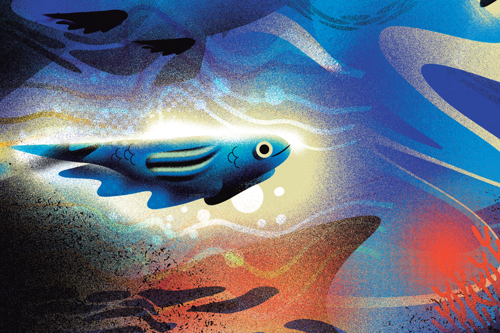 Ilustração multicolorida de um peixe.