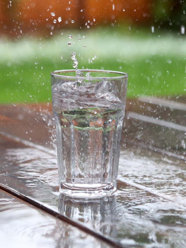 cropped-SI_485_Oraculo_Beber_agua_da_chuva-1.jpg