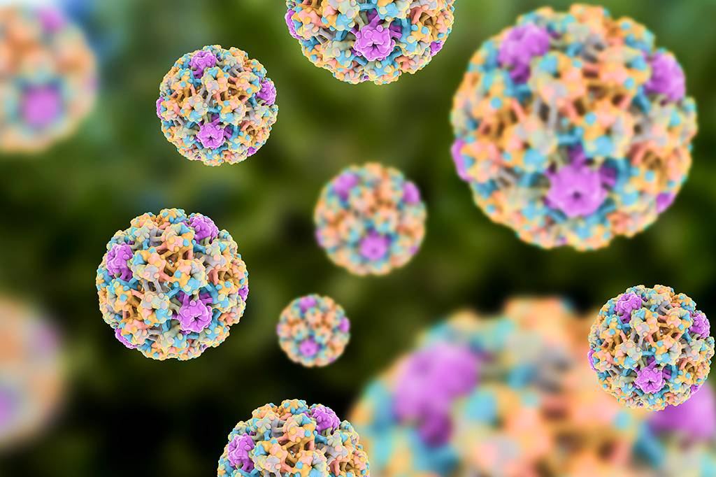 Vacina em estudo demonstra eficácia contra células tumorais ligadas ao HPV