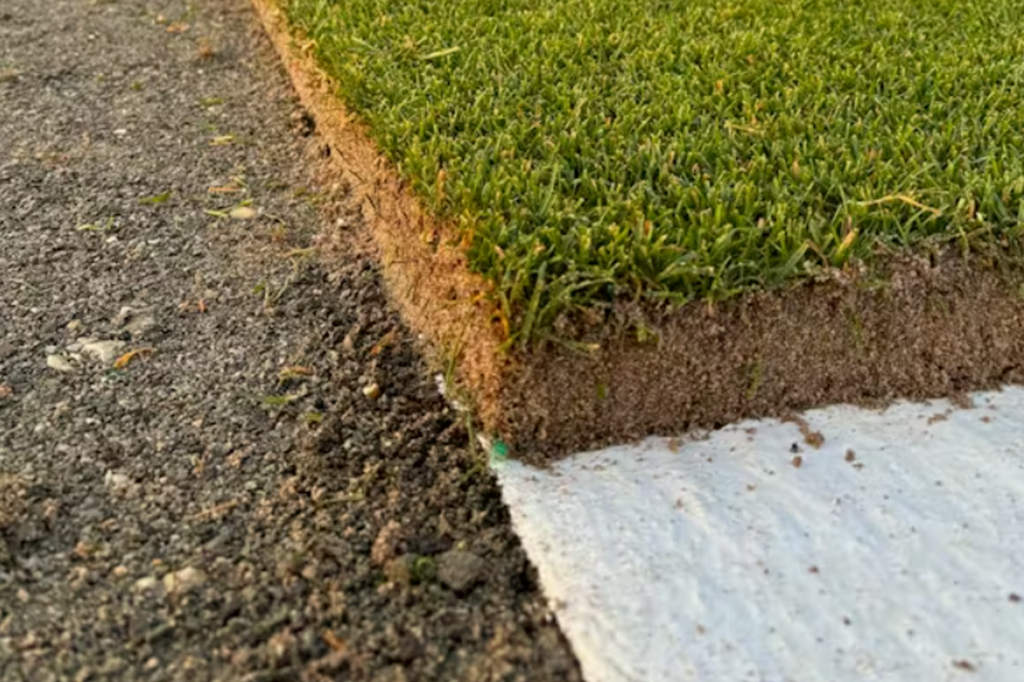 Fotografia do gramado cultivado em pl&aacute;stico permite que as ra&iacute;zes se espalhem e permane&ccedil;am intactas.