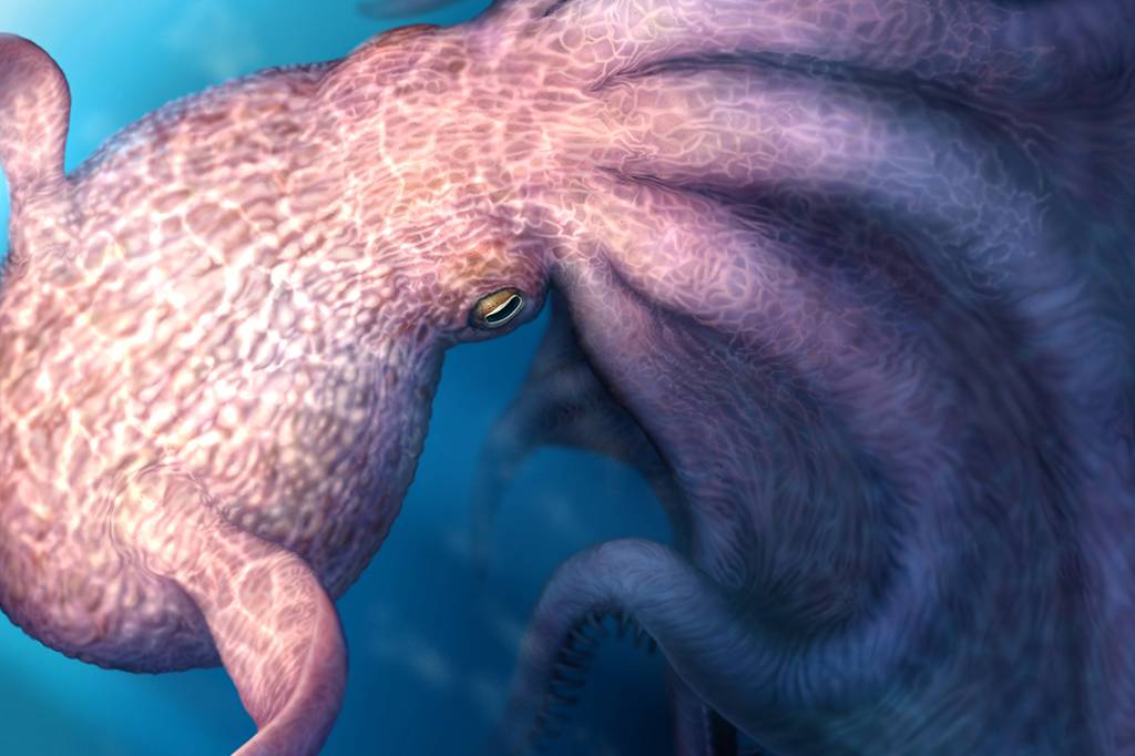 Polvos gigantes, de até 19 metros, dominavam os oceanos há 100 milhões de anos, indica estudo