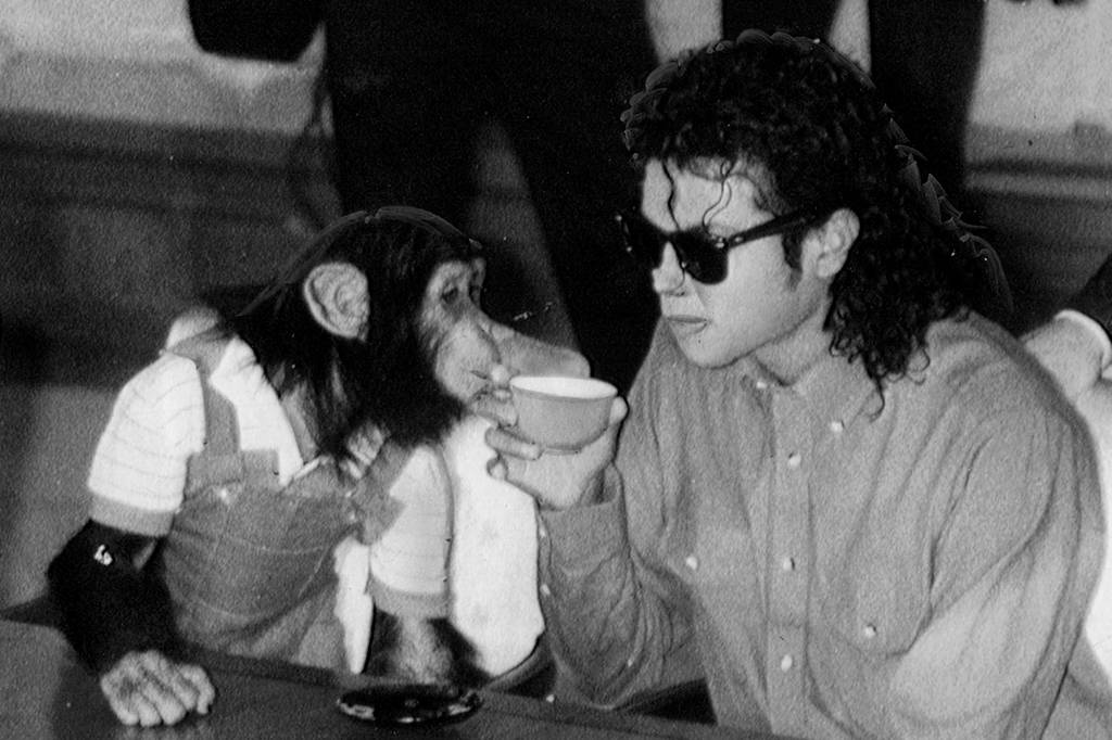 Onde está Bubbles, o chimpanzé de Michael Jackson?