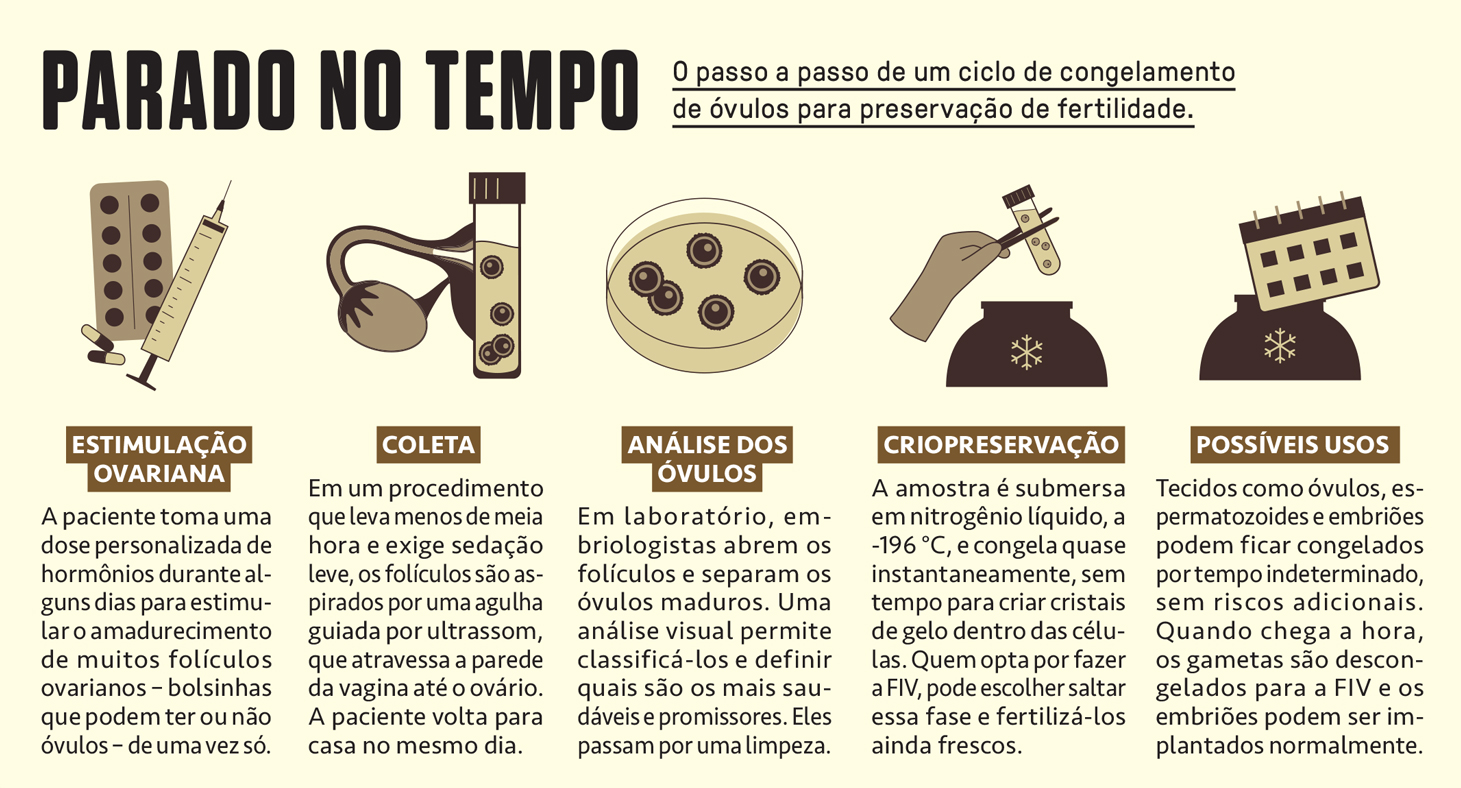 Infogr&aacute;fico, em fundo bege, com passo a passo do sistema de congelamento de &oacute;vulos.