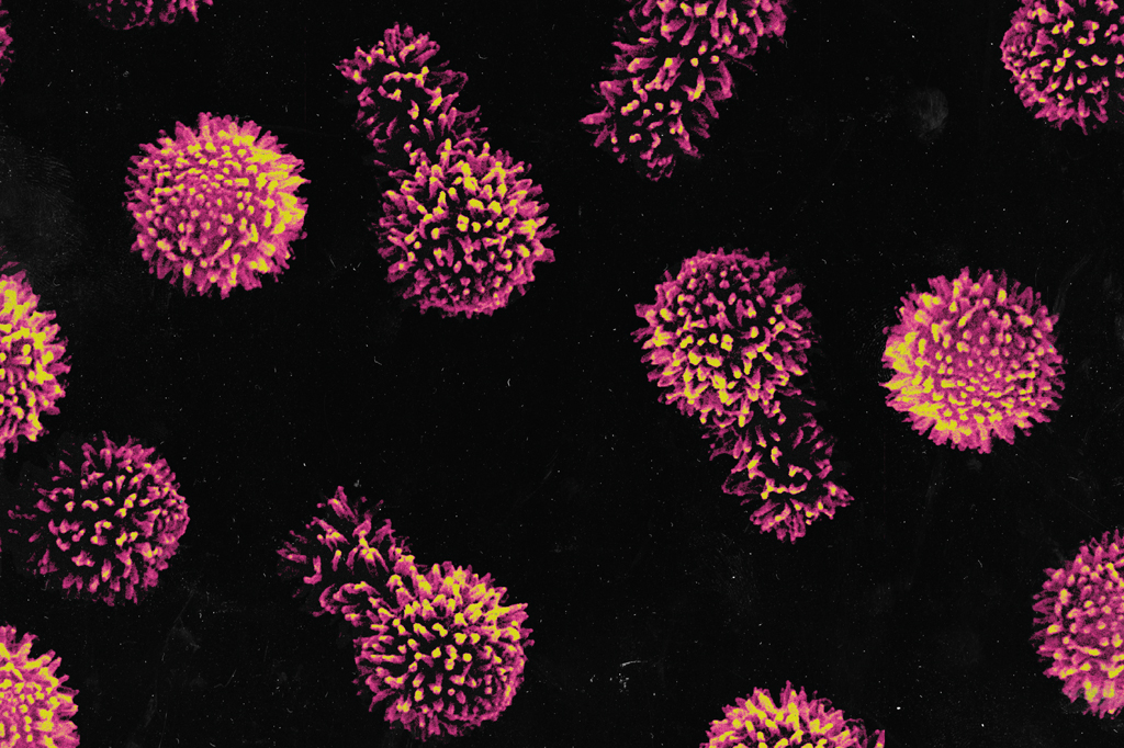 Imagem microsc&oacute;pica do v&iacute;rus Tupanvirus.
