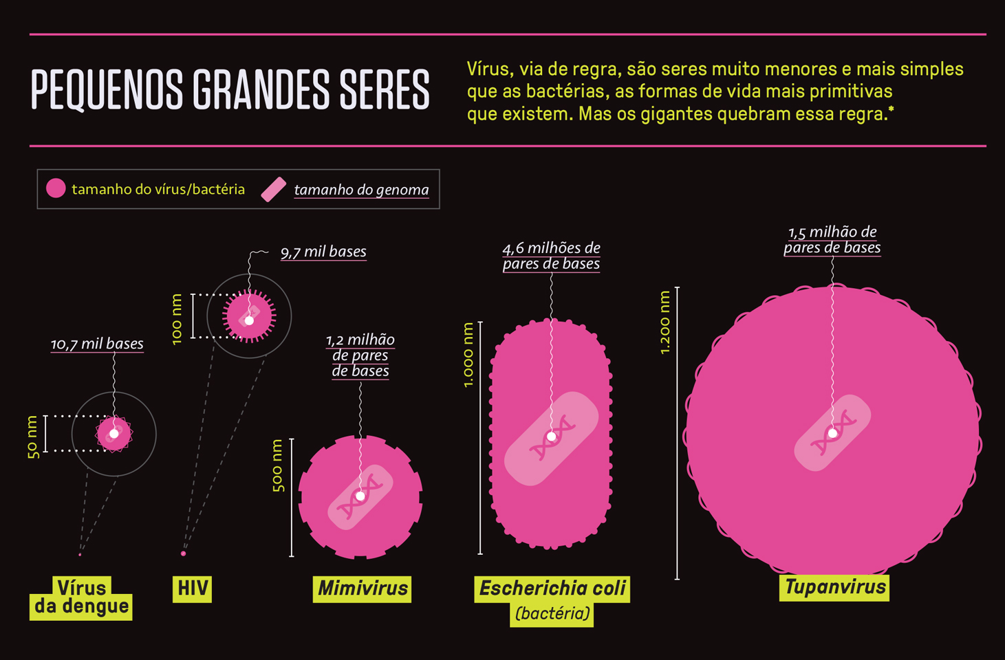 Gr&aacute;fico, em fundo preto, comparando o tamanho de v&iacute;rus e bact&eacute;rias.