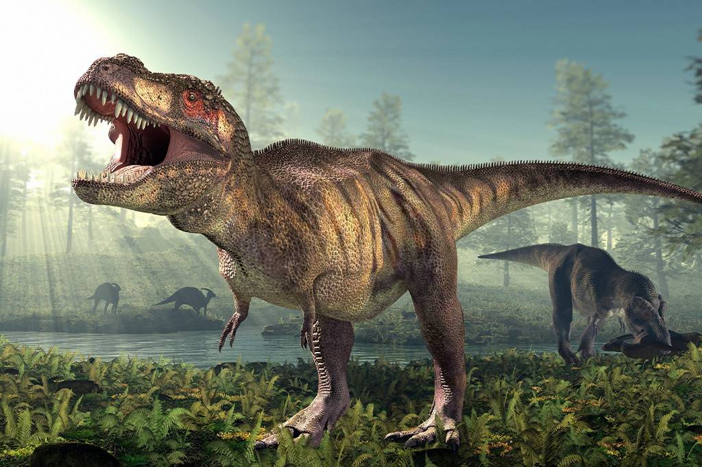 Por que o T. Rex tinha bracinhos pequenos? Um novo estudo explica