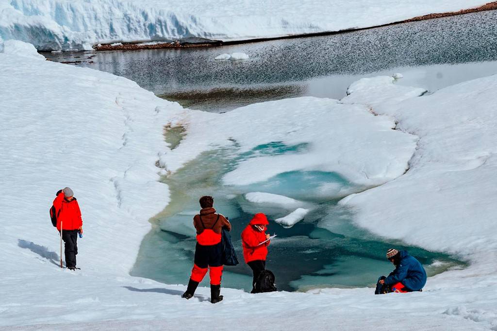 Como bactérias da Antártica podem ajudar a reverter o envelhecimento