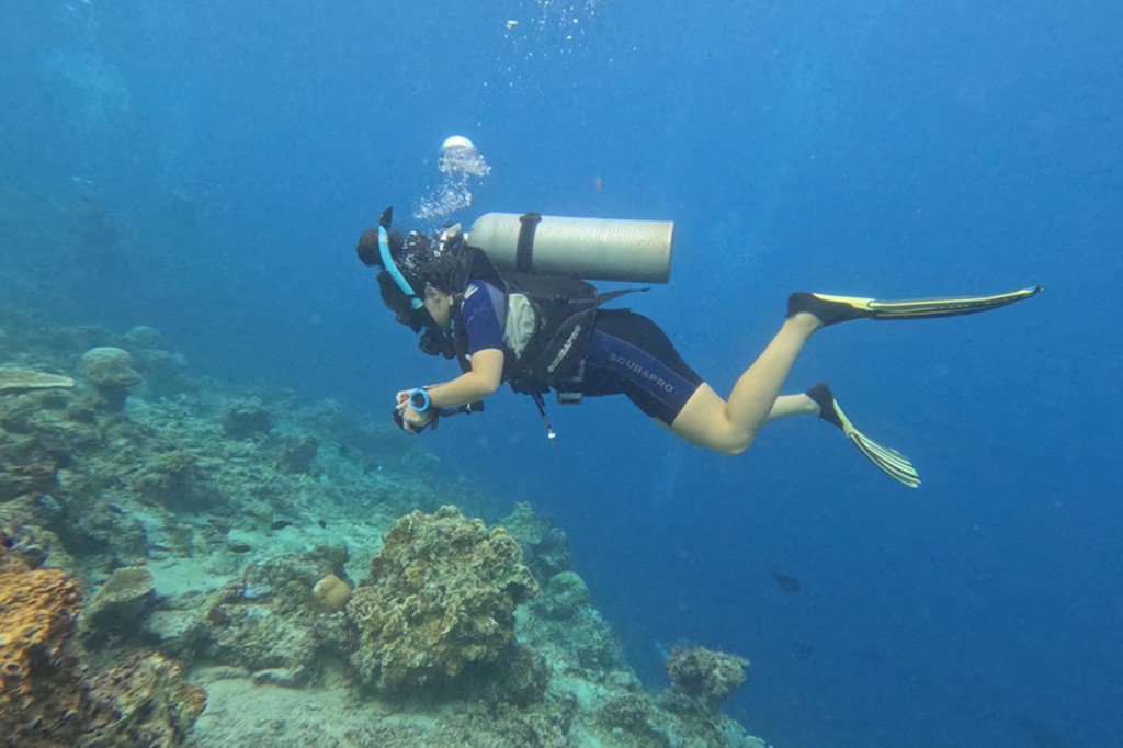 Mulher mergulhadora flutuando sobre um recife de coral, vestindo roupa de mergulho preta e azul, cilindro de oxig&ecirc;nio e nadadeiras amarelas, bolhas subindo &agrave; superf&iacute;cie