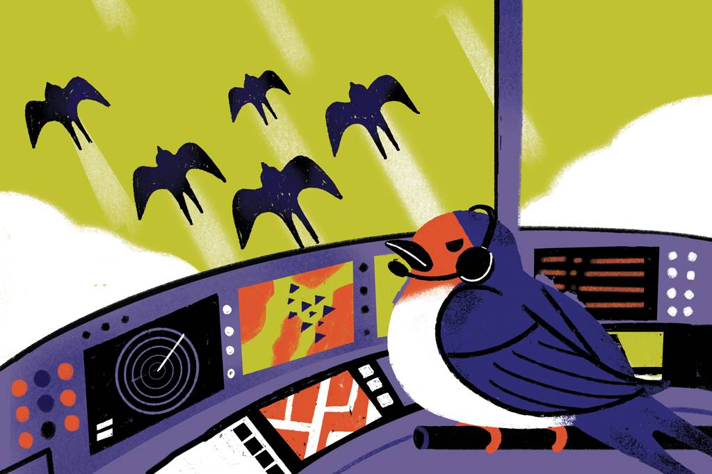 Como os animais migratórios sabem para onde ir?