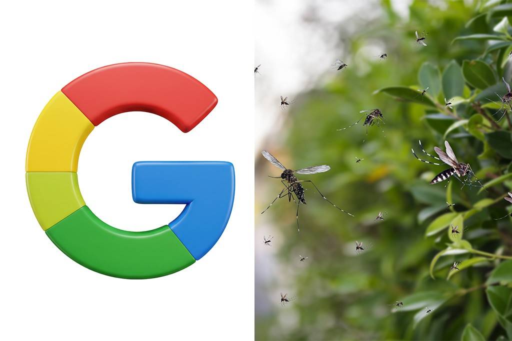 Google quer soltar 32 milhões de mosquitos nos EUA. Por quê?