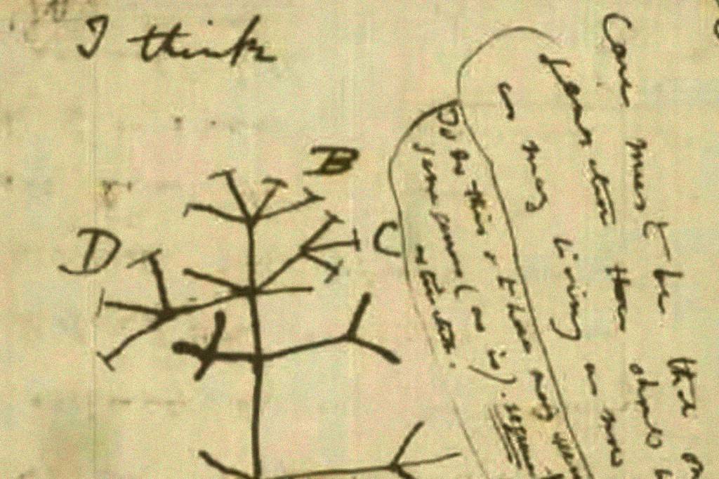 Filósofo muçulmano “antecipou” Darwin? Não é bem assim…