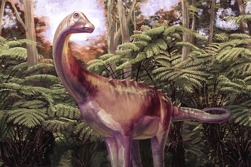 Primeiro fóssil de dinossauro da Antártida é descrito após 40 anos esquecido em uma gaveta