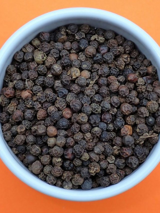 cropped-SI_488_Oraculo_Pimenta_do_reino_FB.jpg