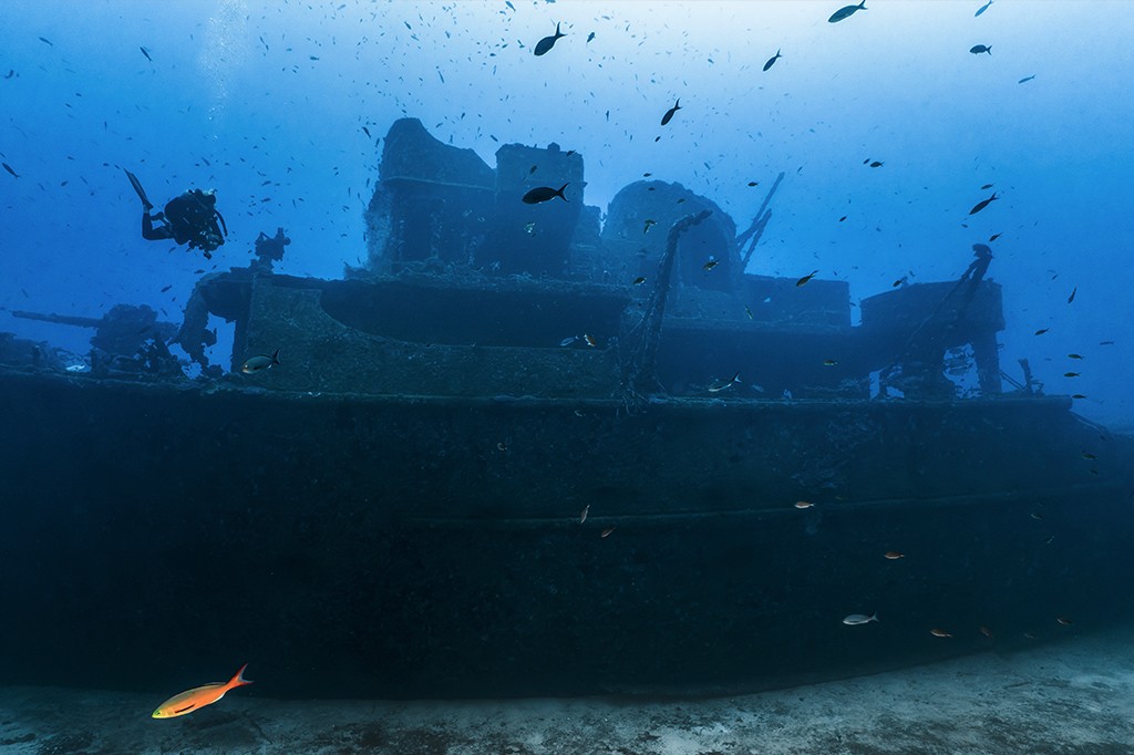 Noronha debaixo d’água: fotos revelam navio naufragado como nunca antes