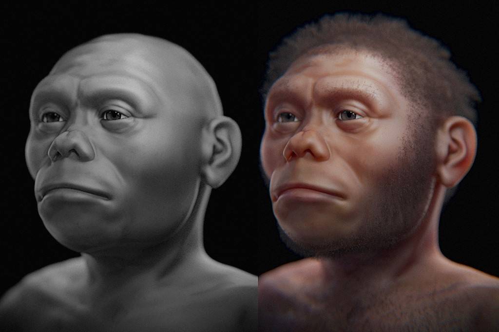 Hominídeo “hobbit” comia carne deixada por dragões-de-komodo