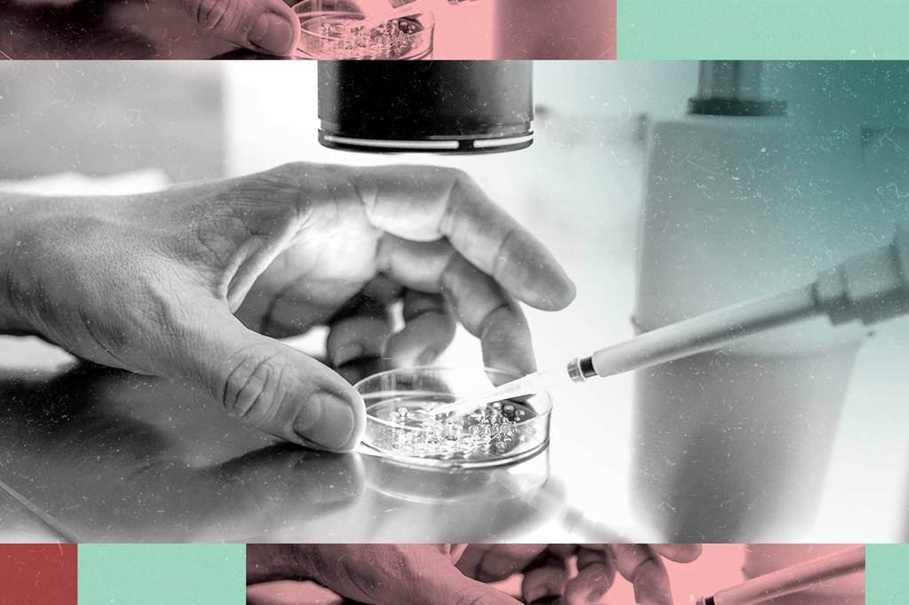 Técnica edita DNA humano com mais precisão