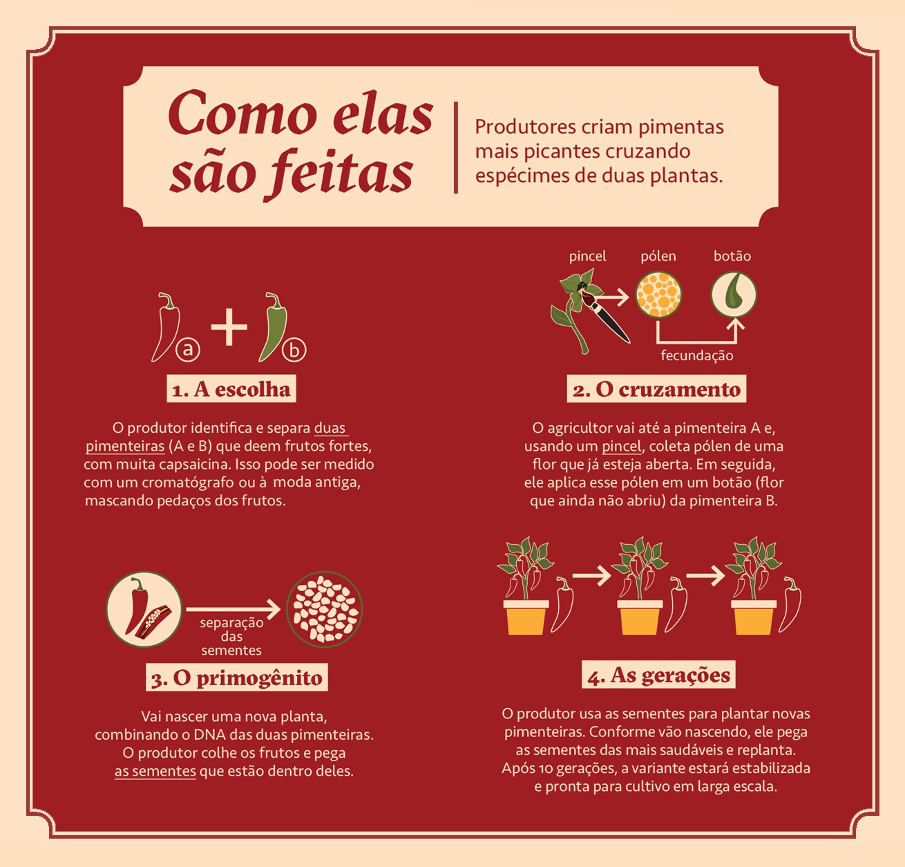 Infogr&aacute;fico, em fundo vermelho, 