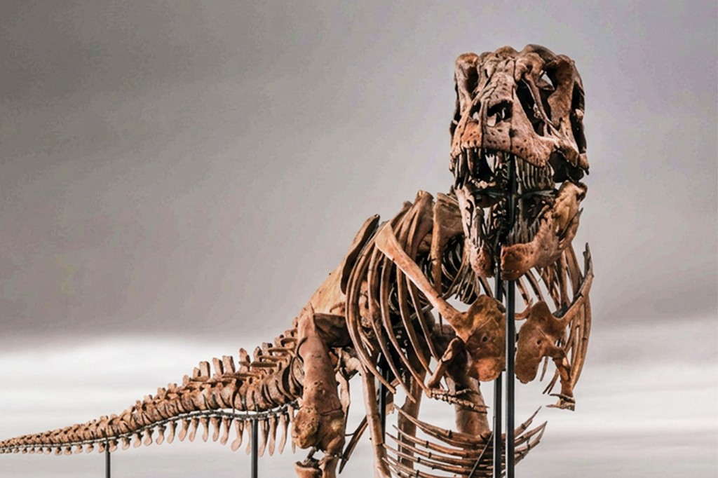 Fóssil de T. Rex leiloado por US$ 50 milhões é o mais caro já vendido – e ninguém sabe quem comprou