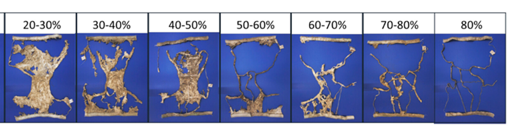 Sete pain&eacute;is exibem a degrada&ccedil;&atilde;o de ra&iacute;zes de plantas em diferentes porcentagens de umidade, de 20-30% a 80%. As ra&iacute;zes, inicialmente densas e fibrosas, tornam-se mais finas e esparsas &agrave; medida que a umidade aumenta, revelando a estrutura vascular. O fundo &eacute; azul escuro