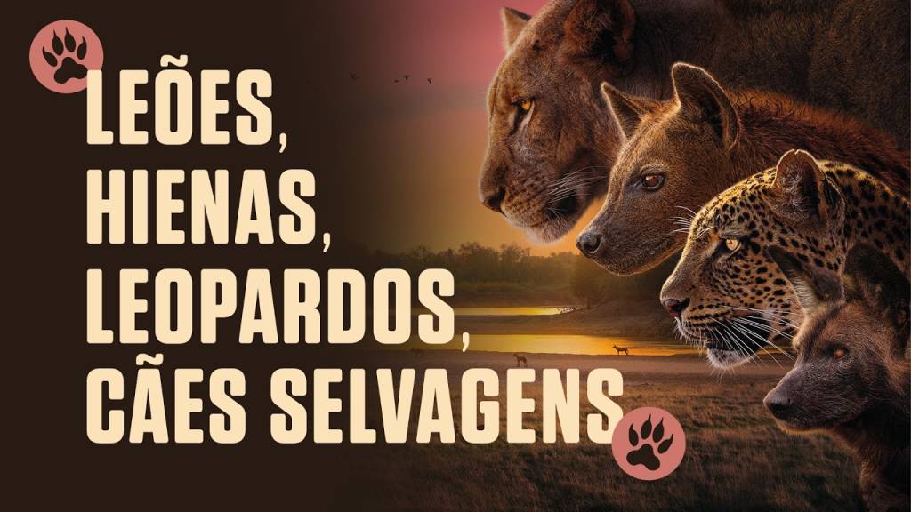 Os bastidores de um documentário de vida selvagem | Super Entrevista